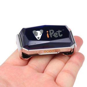 collar GPS para perros pequeños