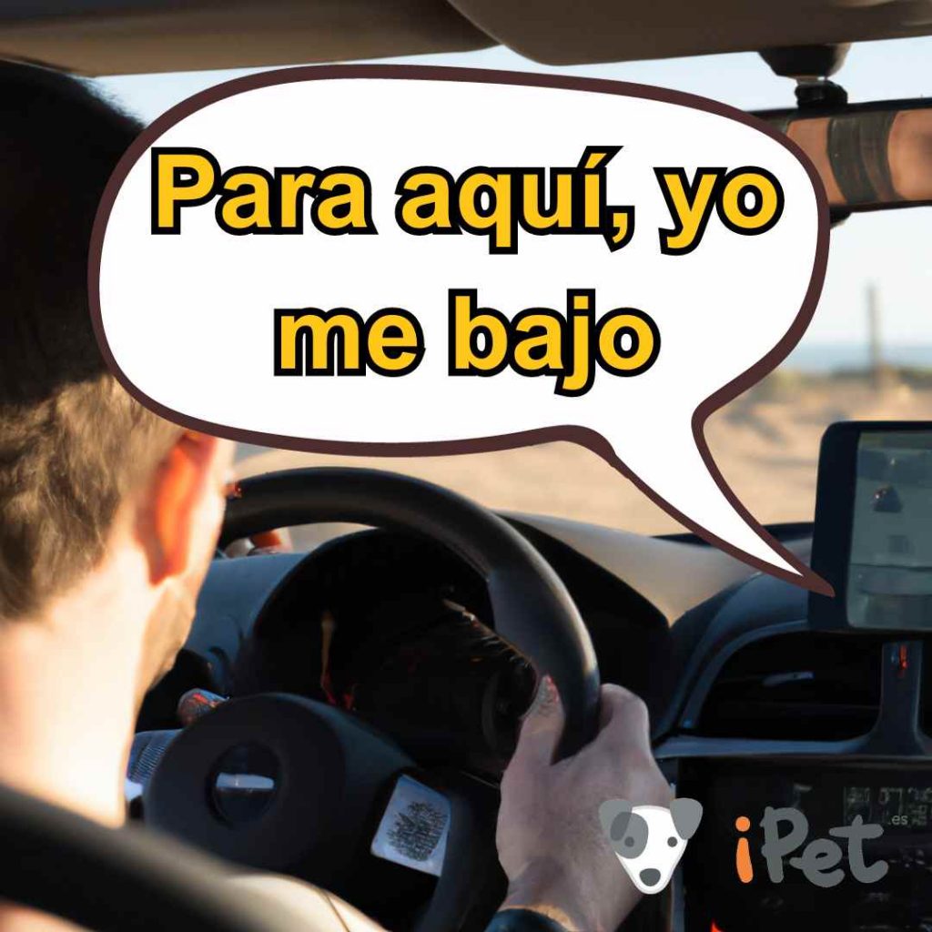 Hombre conduce tan mal que el GPS le dice que pare, que él se baja