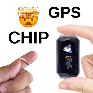 Dos manos una sujetando el chip subcutáneo y otra el GPS para gatos o perros, se aprecia una diferencia enorme de tamaño
