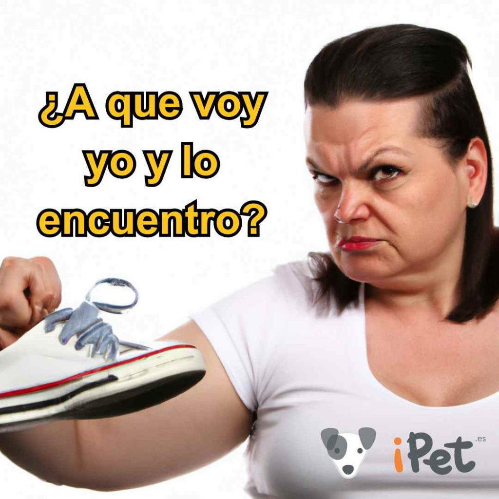 Una madre con una zapatilla en la mano con cara enfadada diciendo a que voy yo y lo encuentro.