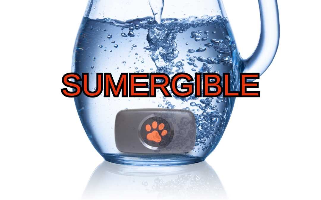 Dispositivo gps para perros dentro de una jarra de agua y con la palabra sumergible.