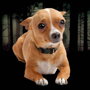 perrito pasando miedo en un bosque de noche