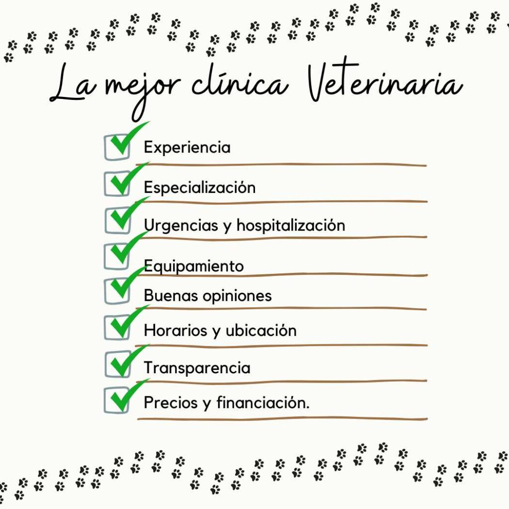 Infografía con casillas marcadas para encontrar el mejor veterinario: Experiencia, especialización, Urgencias, equipamiento, buenas opiniones, horarios y ubicación, transpariencia, precio