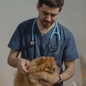 Auxiliar técnico veterinario con uniforme verde calmando a un perrito asustado